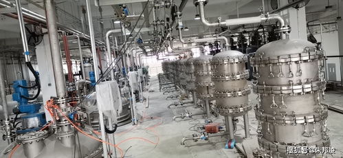 延遲退休新動態 “長壽藥”企業計劃上市引發網友熱議，擔憂120歲退休成真