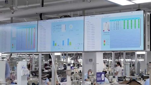 決戰四季度 奪取全年勝 傳統制造變“聰明”，浙江加速推進工業企業數字化改造